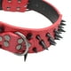 thumbnail image 4 of Collar de perro de PU con Remache Gloria collar de cachorro, 4 of 4