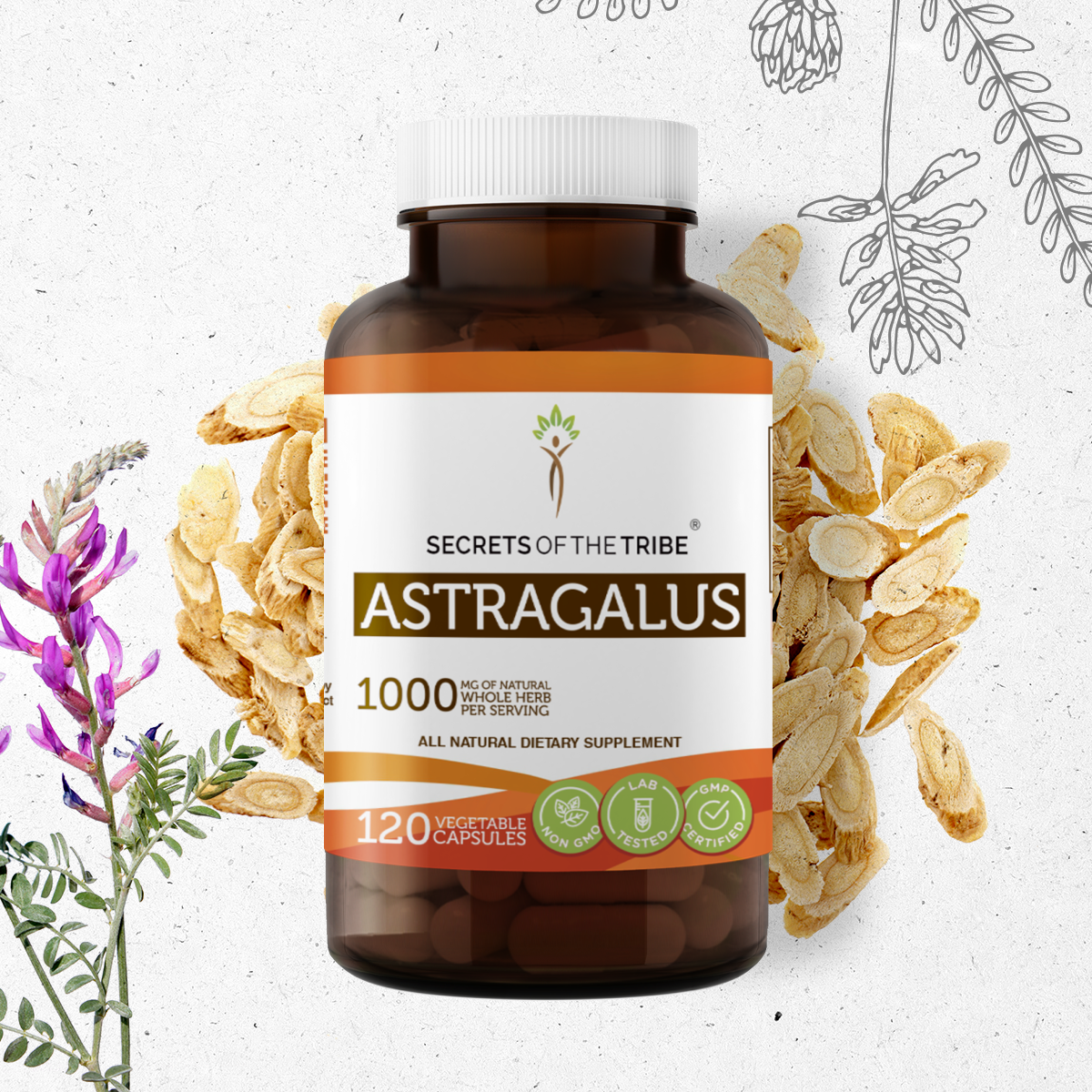 Secrets of the Tribe Astragalus 120 Capsules, 500 mg, Organic
