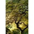 thumbnail image 2 of "Magical Tree" Painting Print on Canvas, 2 of 5