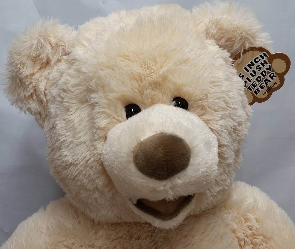 hugfun teddy bear walmart