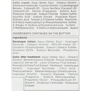 got2b Metallics Permanent Hair Dye, M71 Metallics Silver, Hair Color for Women & Men, 1 Kit