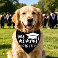 thumbnail image 5 of Graduation Season Pet Graduation Printed Dog Scarf Graduation Memorial Towel For Puppy Costume Decor, 5 of 5