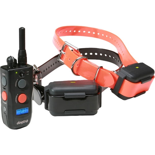 Dogtra Training Collar