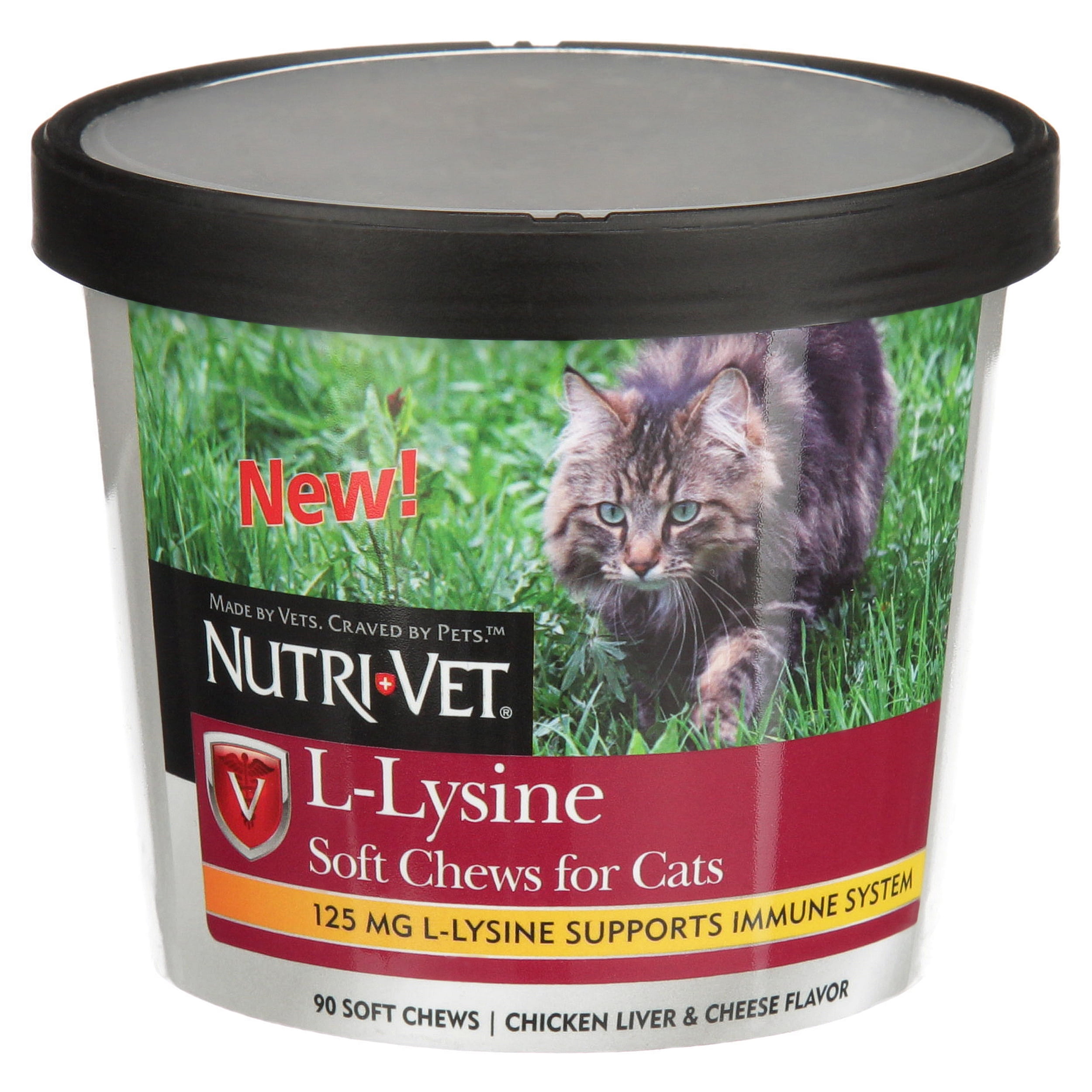 best lysine treats for cats
