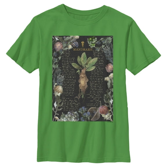 Boy's Harry Potter Mandrake Root Recipe Graphic Tee Kelly Green Small
