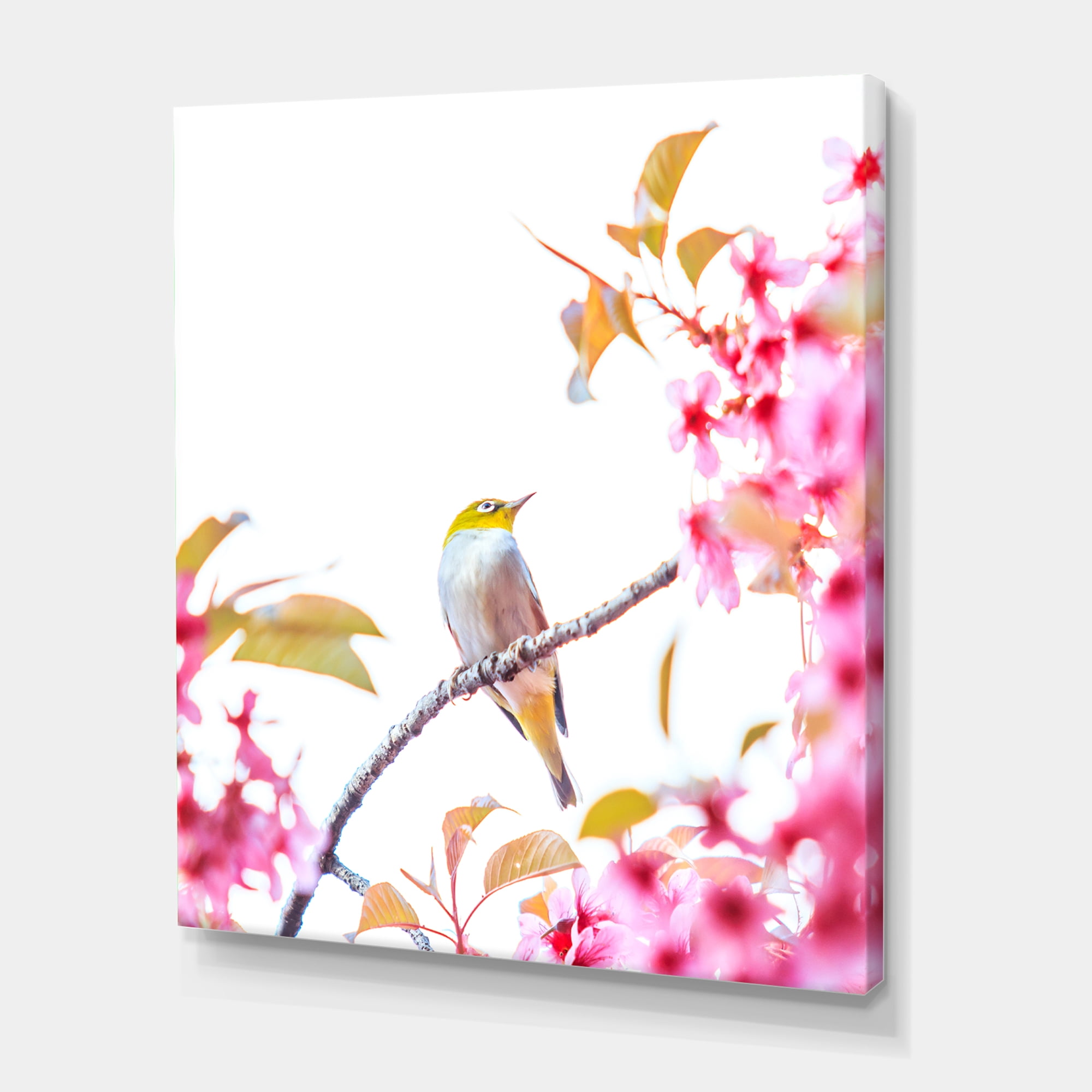 Designart ' Bird Sitting On Cherry Blossom ' Traditional Canvas Wall Art Print