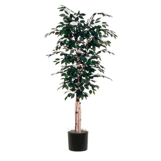 Vickerman TDX3460-07 Bouleau en Papier de Luxe de 6 Pi