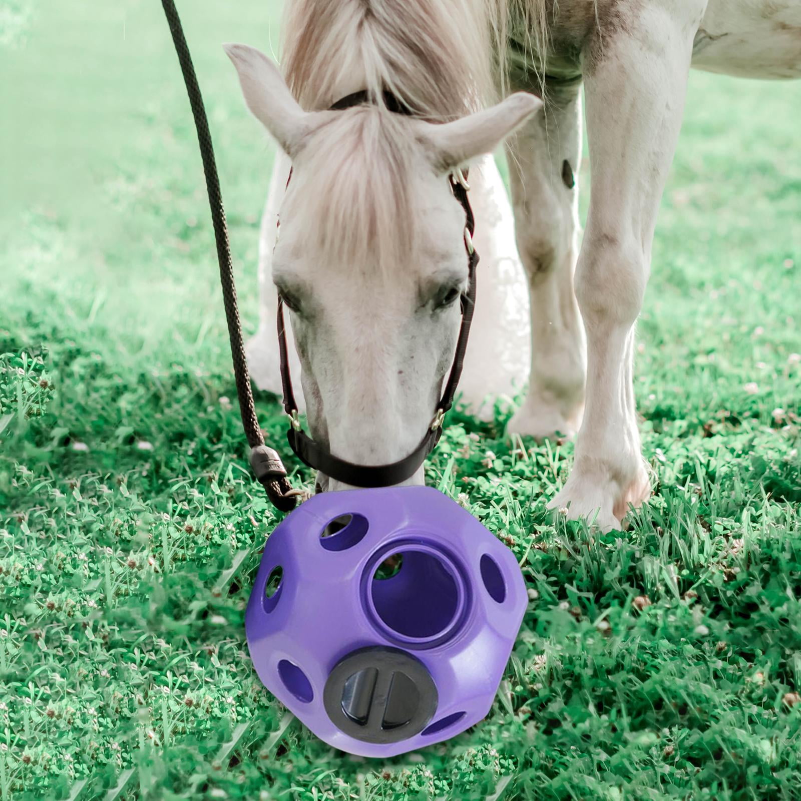 Hay Play Horse Feed Toy High Country Plastics - Horse Toys, Stable  Equipment Supplies