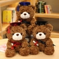 thumbnail image 4 of Muñeco de peluche de oso con sombrero de doctor Muñeco de oso de doctor para graduación Regalo conmemorativo de la temporada de graduación, 4 of 6