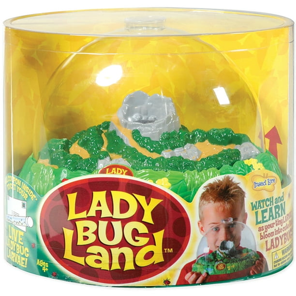 Ladybug Land Kit