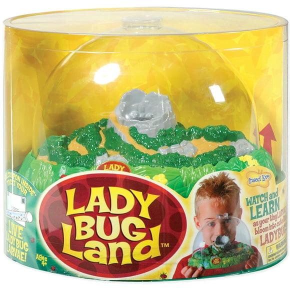 Ladybug Land Kit-