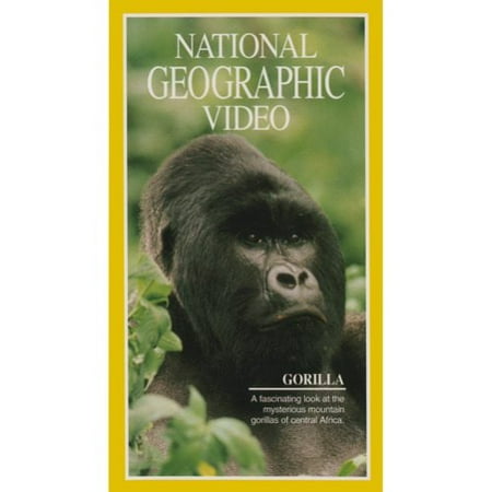 Gorilla (Full Frame)