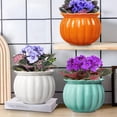 thumbnail image 5 of EFISPSS 6" Self-Watering Pumpkin-Style Ceramic African Violet Pot – Pumpkin-Orange Indoor Planter, No Plant Included, 5 of 7