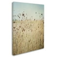 thumbnail image 2 of Trademark Fine Art 'Falling Queen Anne's Lace II Crop' Canvas Art by Elizabeth Urquhart, 2 of 3