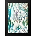 thumbnail image 2 of Chandler, Sharon 17x24 Black Modern Framed Museum Art Print Titled - Aquatic Assemblage V, 2 of 5