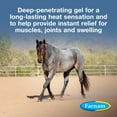 Farnam Vetrolin Liniment Gel for Muscle Soreness Relief on Horses