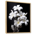 thumbnail image 2 of Designart "Serenade Of Fragrant Plumeria I" Plumeria Floater Framed Wall Art Prints, 2 of 5