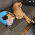 thumbnail image 3 of The Dog Pillow Company Plush Pet Pillow/Dog Neck Pillow for Upper Spine and Calming Support, Grey with Heart Eye, 12 x 12 x 5 Inches, 3 of 10