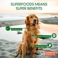 thumbnail image 5 of Superfood Science Vegan Dog Treats with Sweet Potato, Dry, Semi-Soft, 5 oz., 5 of 11