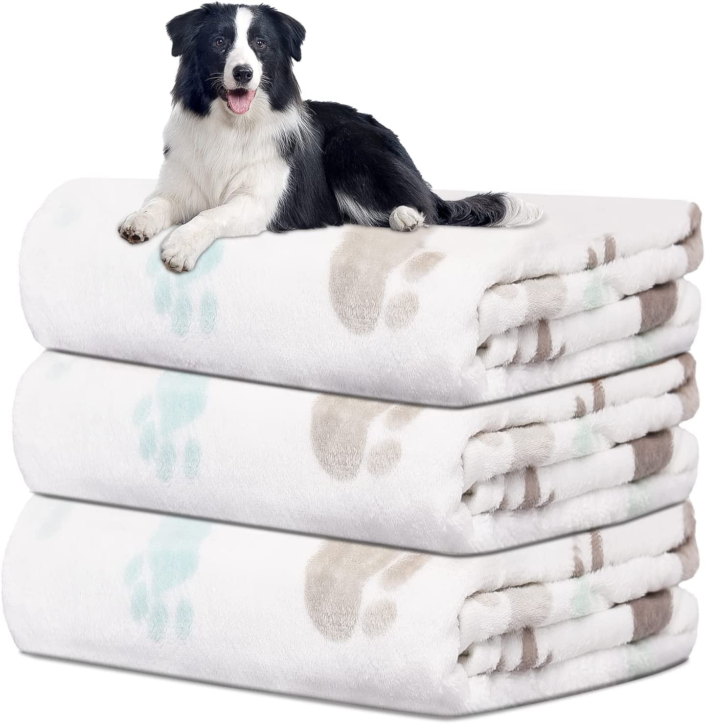 How Big Is A Dog Blanket