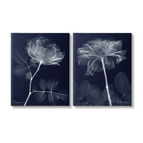 Stupell Industries X-Ray Blossom on Black Botanical & Floral Photography Gallery Wrapped Canvas Art Print Wall Art, 16 x 20, Set of 2