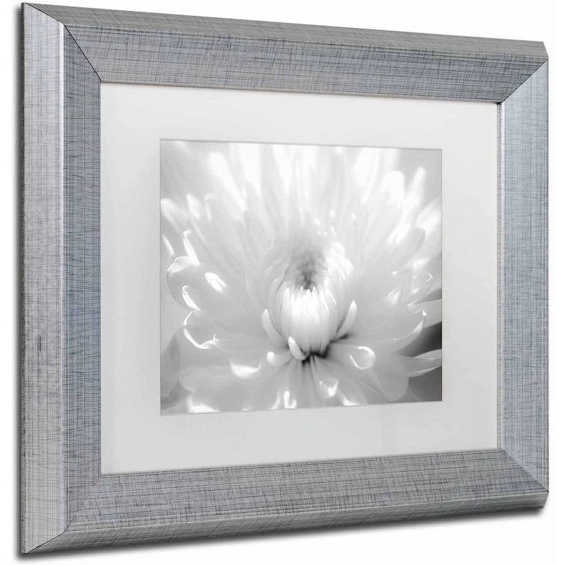 Trademark Fine Art 'Infrared Flower 2' Canvas Art by PIPA Fine Art, White Matte, Silver Frame