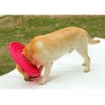 thumbnail image 4 of Collier de Récupération Cône Gonflable Protection des Animaux Fournitures de Récupération Santé, 4 of 4