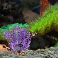 thumbnail image 4 of YSNOOWE Planta Decorativa Morada Para De Peces Sin Impacto En El Y Resistente, 4 of 6