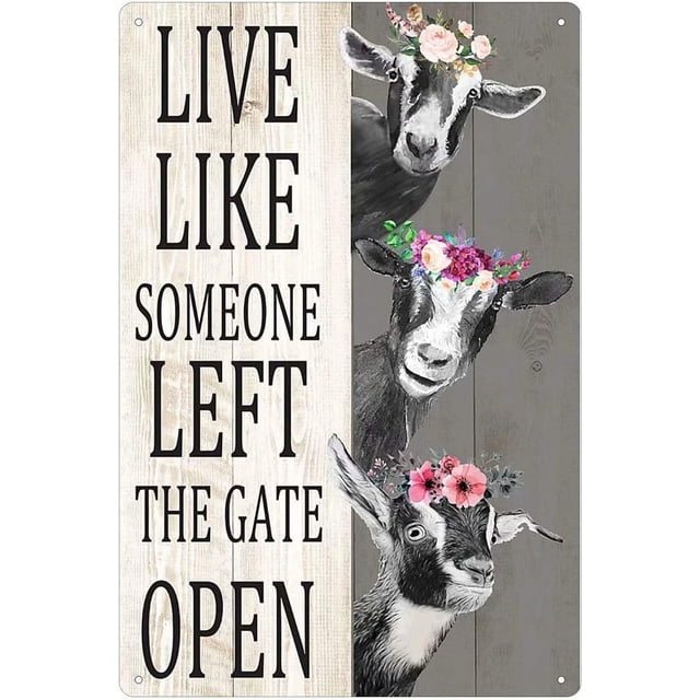 Cuarevw Letreros De Metal De Cabra Live Like Everyone Left The Gate Open, Impresión Divertida, Póster Para Decoración De Baño, Sala De Estar, Cocina, Hogar, Granja, Arte De Pared, Placa De 8.0 X 6.0 I
