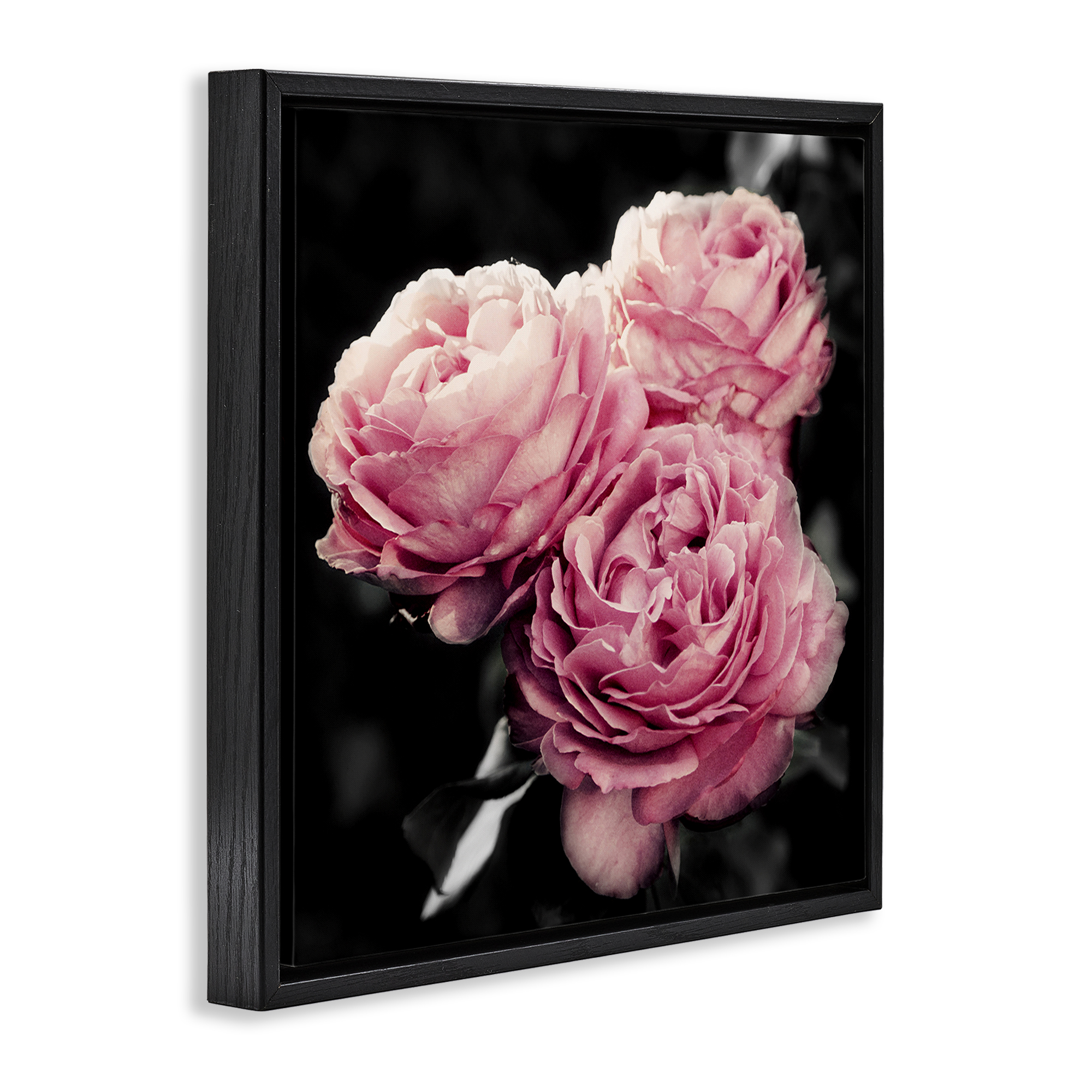 Stupell Industries Full Blooming Roses Plants & Flowers Photography Black Floater Framed Canvas Art Print Wall Art, 25 x 25