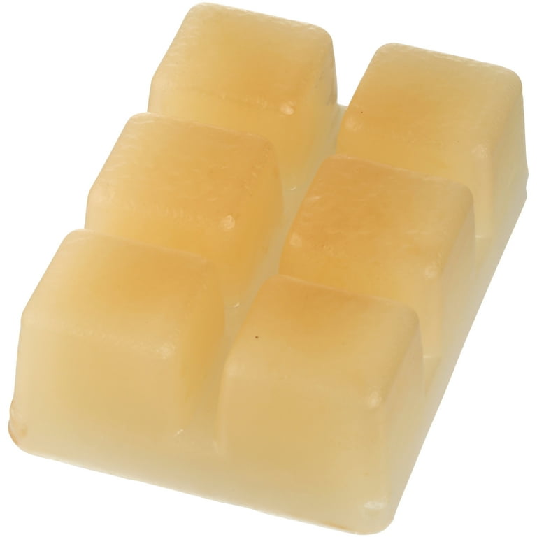 Pet Odor Eliminator Wax Melts 2 Pack With FREE SHIPPING Scented Soy Wax  Cubes Compare to Scentsy® Bars Free Shipping 
