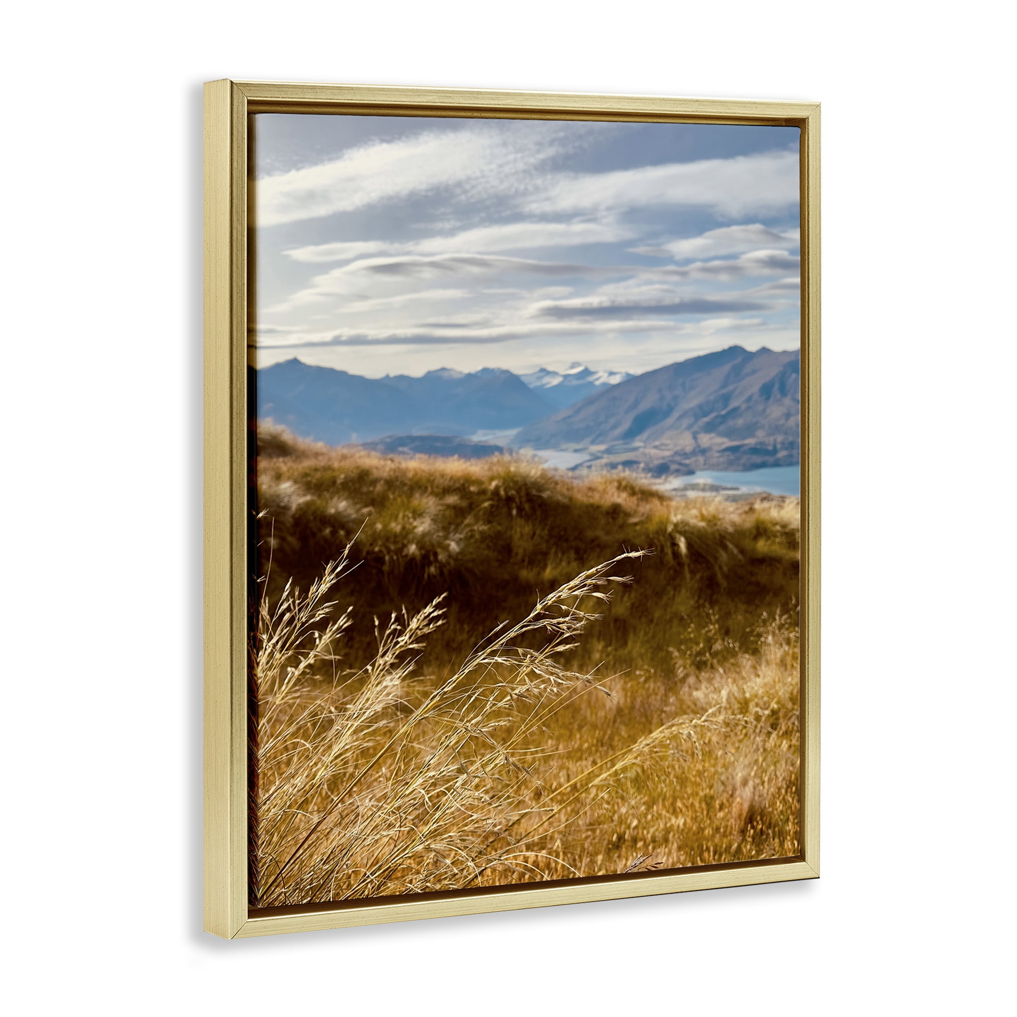 Stupell Industries Windblown Mountain Region Landscape Photography Gold Floater Framed Art Print Wall Art, 17 x 21