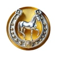 thumbnail image 2 of SmartBy Brooch Pin Retro Golden Horseshoe Design Scratch Resistant Brooch Round Shape Lapel Badge Clothes Accessories, 2 of 7