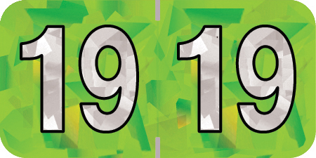 500//Roll 1 Roll Holographic Green 3//4 x 1-1//2 PMA Compatible Series 2018 Year Labels