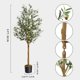 thumbnail image 3 of QinaQin Árbol de olivo artificial alto de 4/5/6 pies, planta de seda en maceta con tronco de madera y frutos realistas para decoración interior del hogar u oficina, 3 of 9