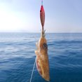thumbnail image 4 of Señuelos de Pesca, simulación de Wobbler de pesca con anzuelo de calamar, diseño realista suave, 4 of 6