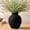 Matte Black, variant on DAKIMOE Ceramic Flower Vase Home Decor Farmhouse 7.25" Table Vases Rustic Vintage Living Room Decor Kitchen Decor Bedroom Vases for Centerpieces House Book Shelf Office Coffee Desk Dining Fireplace