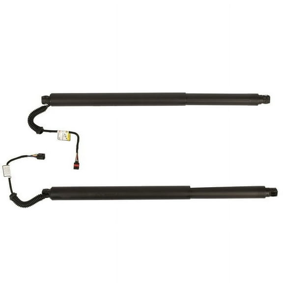 GELUOXI 2Pcs Rear Power Lift Cylinder Strut Support for Nissan Murano Sport Utility 2015-2021