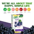 thumbnail image 2 of True Lemon Kids Groovy Grape Drink Mix, Low Sugar, No Artificial Sweeteners, 10 Count, 2 of 11
