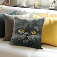 thumbnail image 3 of BANET Sofa Pillow Case, Decorative Throw Pillow Cushion Cover for Home Office- Cute Gray Chinchilla 24x24in, 3 of 5