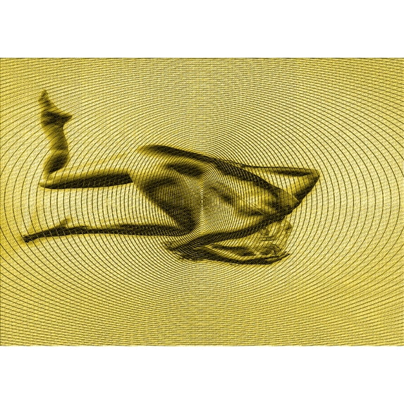 Ahgly Company Indoor Rectangle Patterned Dark Yellow Green Area Rugs, 3' x 5'