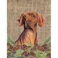 thumbnail image 1 of Carolines Treasures SC9044GF Vizsla Flag - Garden Size, 1 of 3