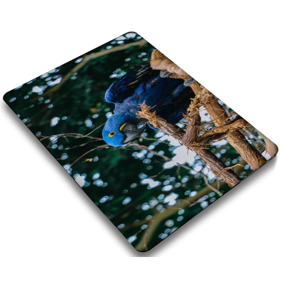 KSK KAISHEK Hard Shell Cover Only for MacBook Pro 16" 2019-2020 A2141 + Black Keyboard Cover, Feather Series 0324