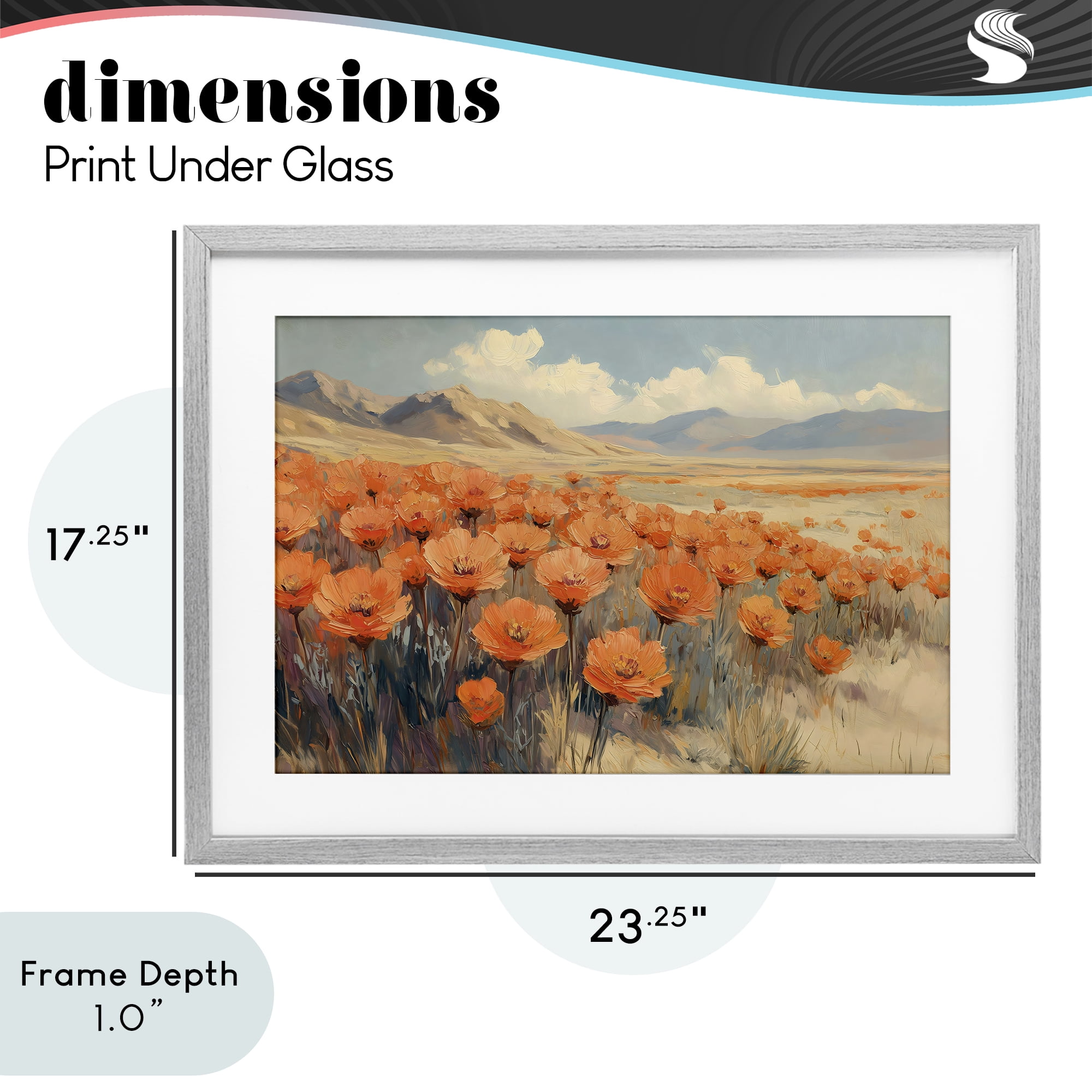Stupell Industries Desert Poppies in Valley Gray Framed Print Under Glass, design by Gina Kelly