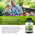 thumbnail image 5 of Swanson Olive Leaf Extract 500 mg 120 Caps 4 Pack, 5 of 7