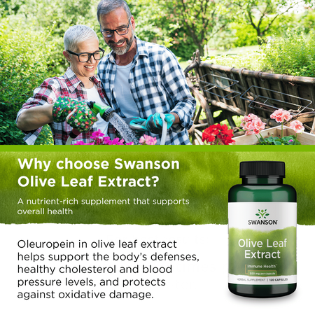 Swanson Herbal Supplements Olive Leaf Extract 500 mg Capsule 120ct