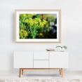 thumbnail image 6 of hello dill - Photography Botanical Floral Garden Nature Flowers Scenic Unframed Wall Art Print 40 x 60 inches, 6 of 7