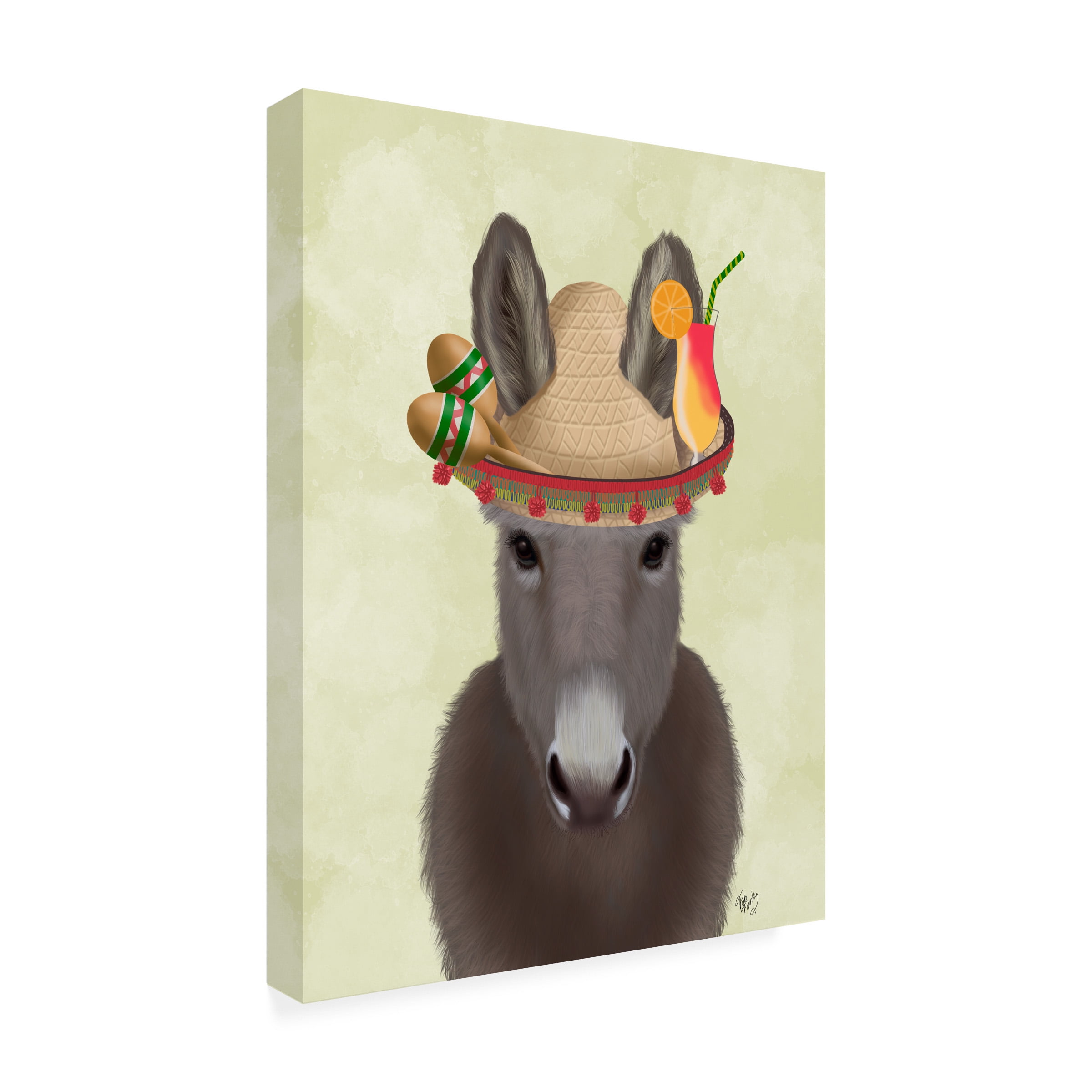 Fab Funky 'Donkey Sombrero' Canvas Art