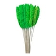 thumbnail image 2 of Mefallenssiah Natural Dryness - Wedding Bouquet Is A Favorite Wedding Color within the Natural, 2 of 7