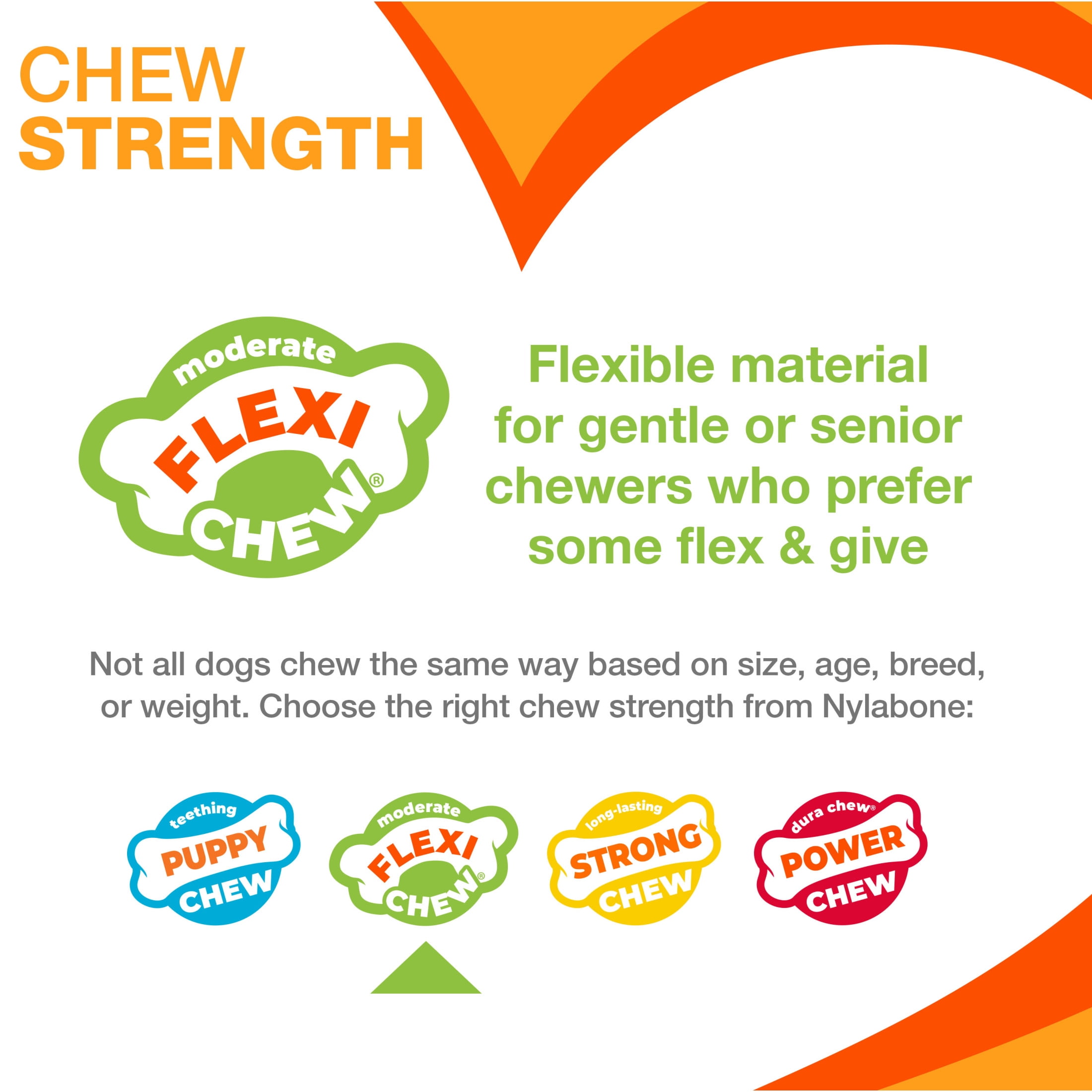 (3 pack) Nylabone Flexi Chew Gumabone Textured Bone Dog Toy, Dog Chew Toy, Chicken Flavor, Small, 1 Count